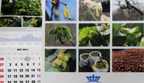 FINDIK TARIM TAKVİMİ