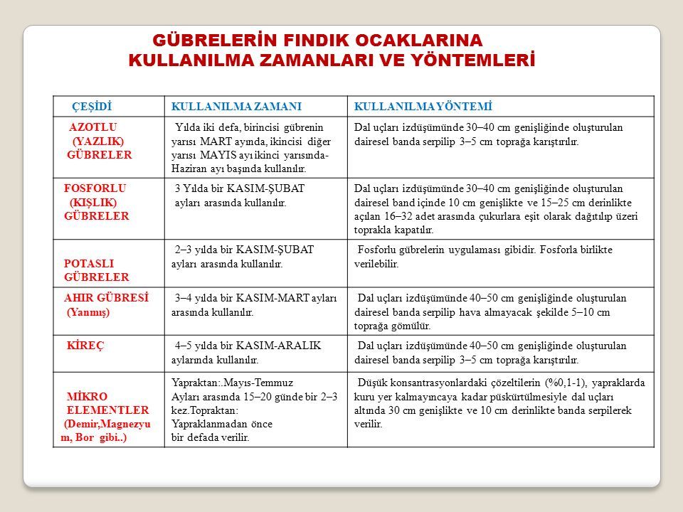 FINDIKTA GÜBRE UYGULAMA YÖNTEMİ VE ZAMANLARI